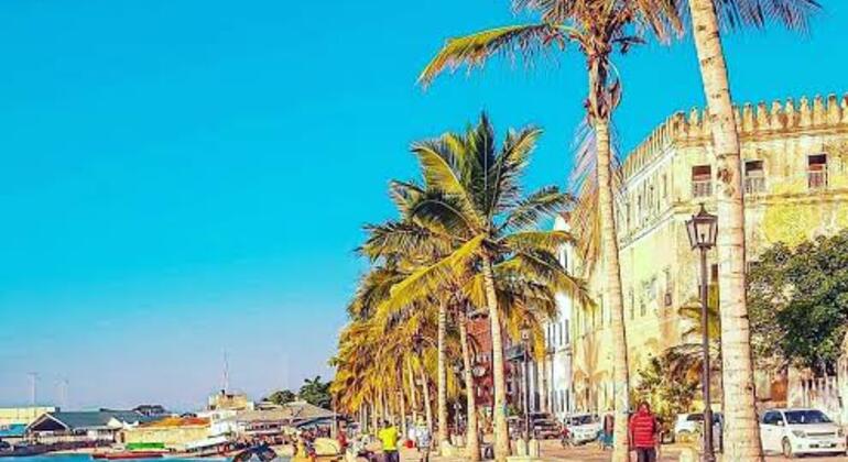 Tour di esplorazione di Stone Town Tanzania — #2