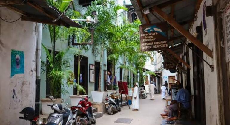 Tour di esplorazione di Stone Town Tanzania — #3