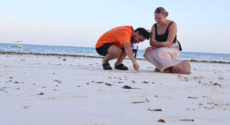 diani-street-food-market-tour-en-13