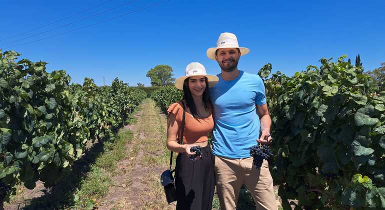 Live the Passion for Wine Uruguay &mdash; #3