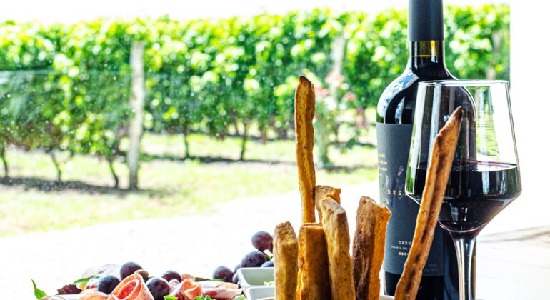 Live the Passion for Wine Uruguay &mdash; #4