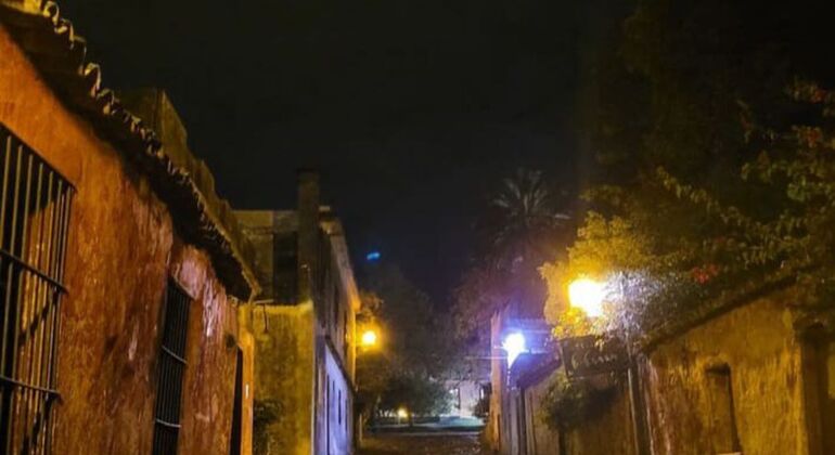 Live the Passion for Wine Uruguay &mdash; #6