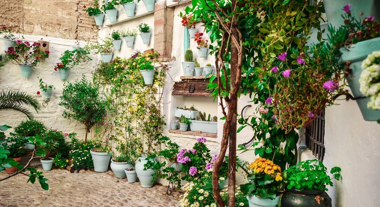 patios-of-cordoba-tour-es-1