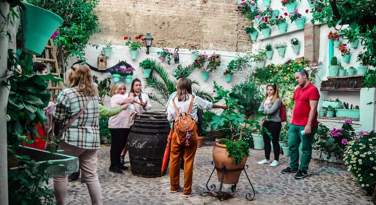 patios-of-cordoba-tour-es-4