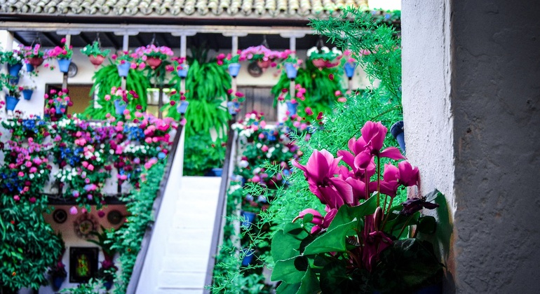 patios-of-cordoba-tour-es-5