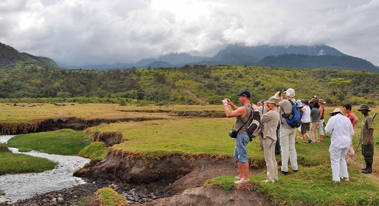 Visite du parc national d'Arusha Fournie par World Tours & Safaris Tanzania