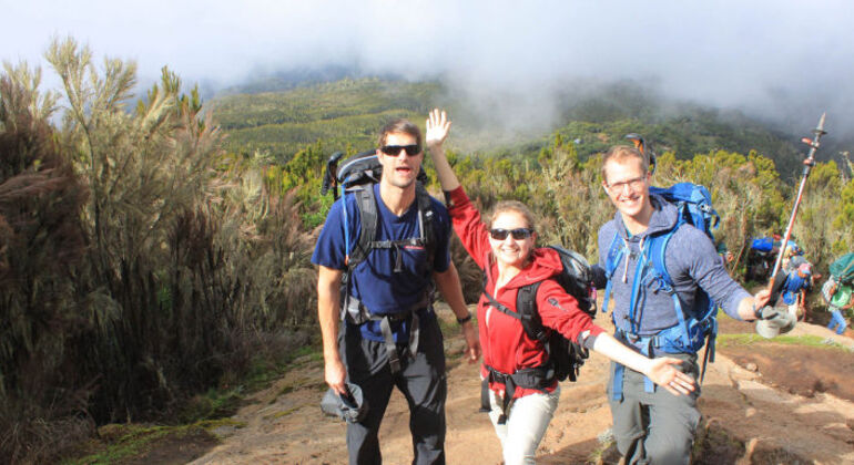 Trekking di un giorno sul Monte Kilimanjaro Tanzania — #2