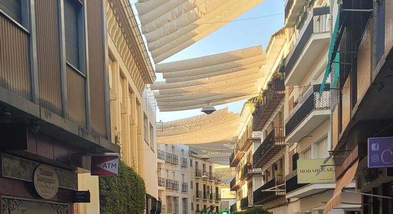 early-bird-walk-cordoba-es-6