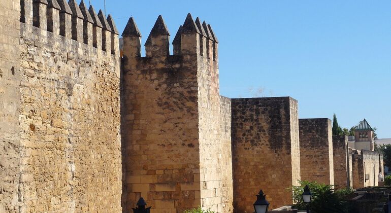 early-bird-walk-cordoba-es-8
