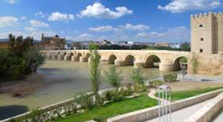 early-bird-walk-cordoba-es-9
