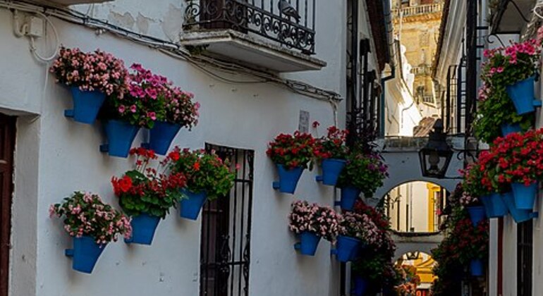 early-bird-walk-cordoba-es-10