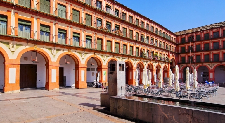 early-bird-walk-cordoba-es-12