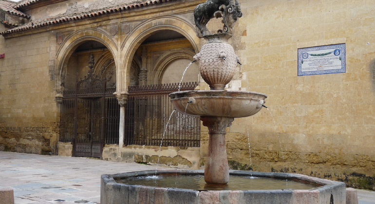 early-bird-walk-cordoba-es-17