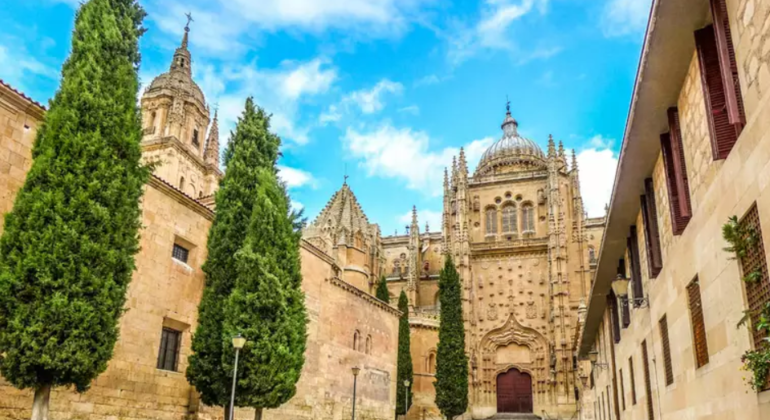 free-tour-a-salamanca-historica-monumental-es-1