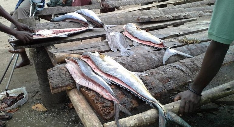 Dar City Explorer: Markets, Culture & Hidden Corners Tanzania &mdash; #2