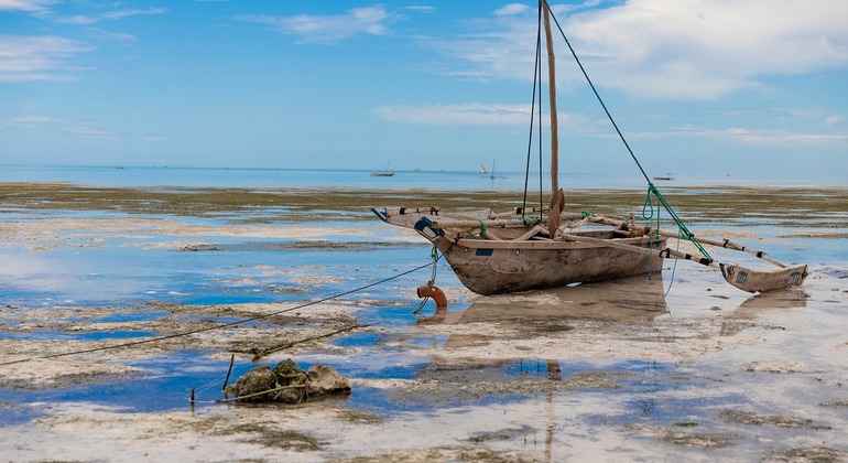 Dar City Explorer: Markets, Culture & Hidden Corners Tanzania &mdash; #4