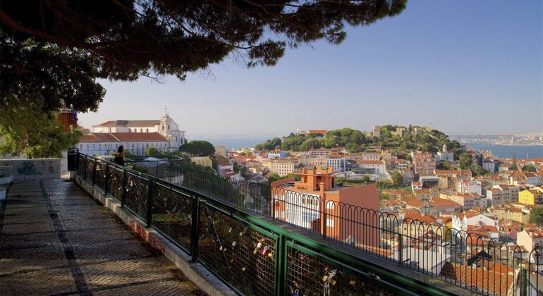 Exclusive Lisbon to Cascais & Sintra Tour Portugal — #14