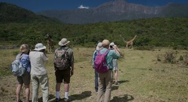 Eintägiges Abenteuer im Tarangire-Nationalpark Tansania — #5