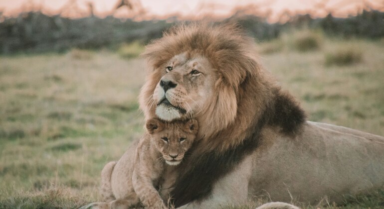 Eintägiges Abenteuer im Tarangire-Nationalpark Tansania — #8