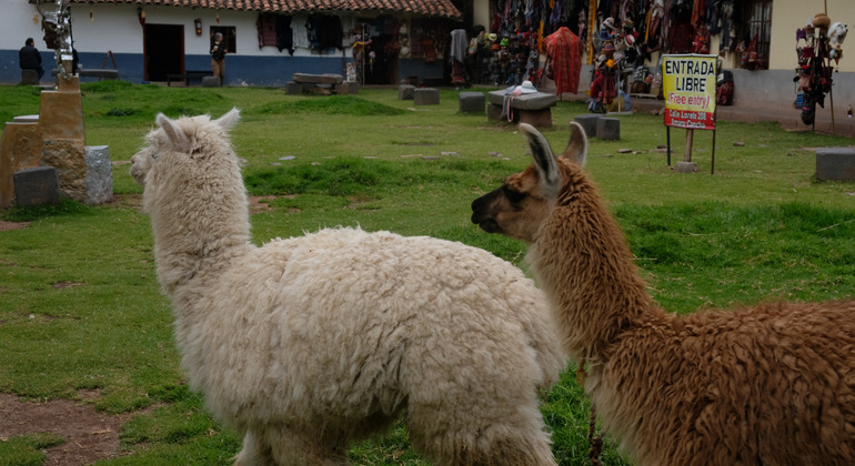 Paseo histórico por Cusco Perú — #5