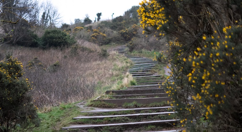 arthurs-seat-hike-with-a-mountain-guide-es-6