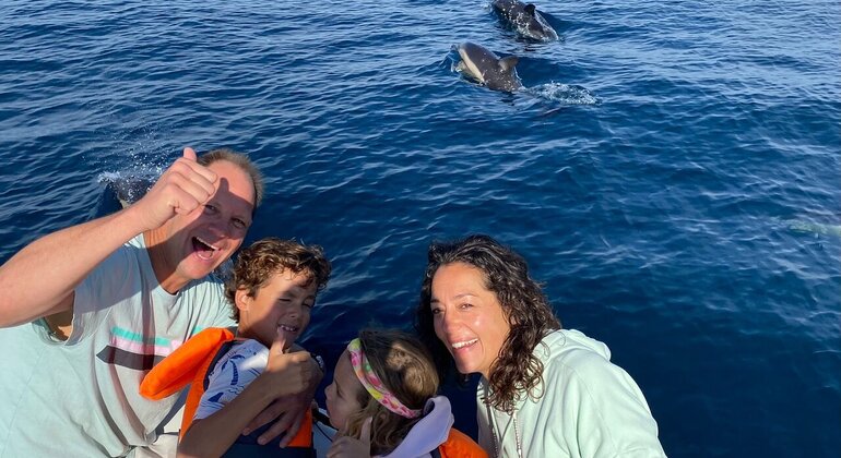 Nuotare con i delfini nel Mar Rosso Egitto — #3