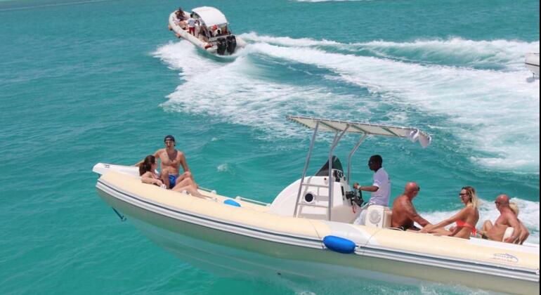 Nuotare con i delfini nel Mar Rosso Egitto — #6