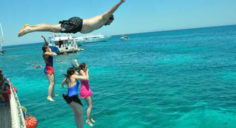 Nuotare con i delfini nel Mar Rosso Egitto — #7