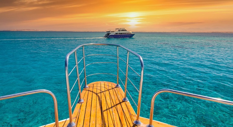 Nuotare con i delfini nel Mar Rosso Egitto — #16