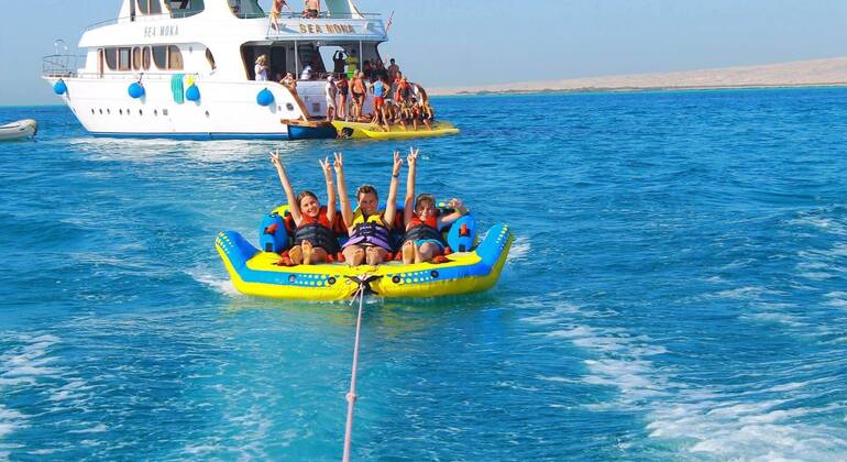 Nuotare con i delfini nel Mar Rosso Egitto — #17