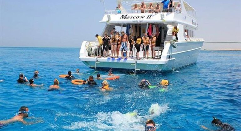 Nuotare con i delfini nel Mar Rosso Egitto — #18