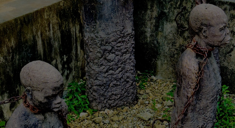 Visita histórica gratuita à Cidade de Pedra de Zanzibar Tanzânia — #9