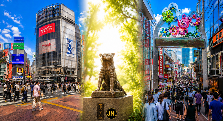 Shibuya y Harajuku - De lo moderno a lo sagrado Operado por Japan Navigators