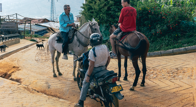 Medellin mit den Augen des Landwirts Kolumbien — #1