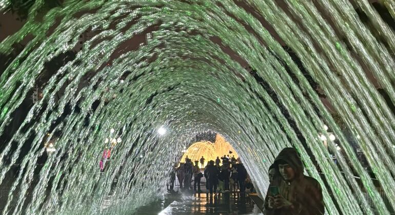 Visite libre de Lima : Polvos Azules et Parque de las Aguas Pérou — #11