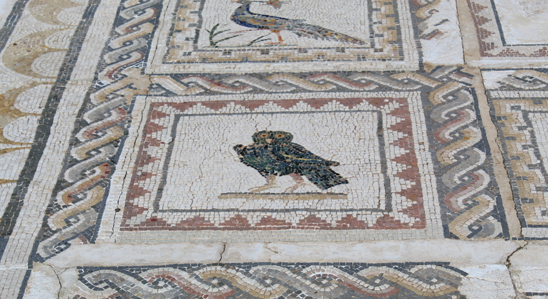 tour-arqueologico-por-italica-es-5