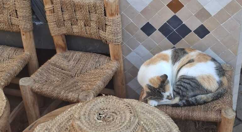 Free Tour in Agadir Souk El Had Morocco — #2