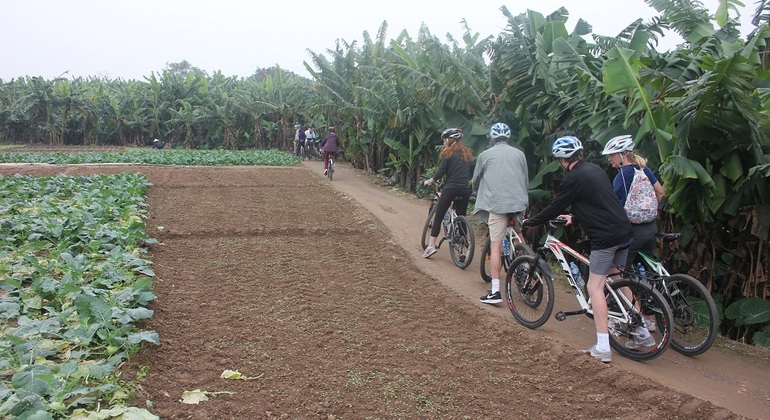 hanoi-afternoon-bicycle-tour-es-3