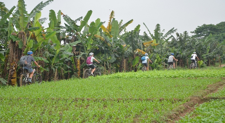 hanoi-afternoon-bicycle-tour-es-4