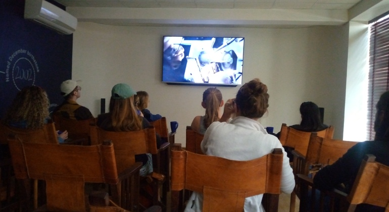 Arusha Rundgang: Geführtes Stadterlebnis Tansania — #6