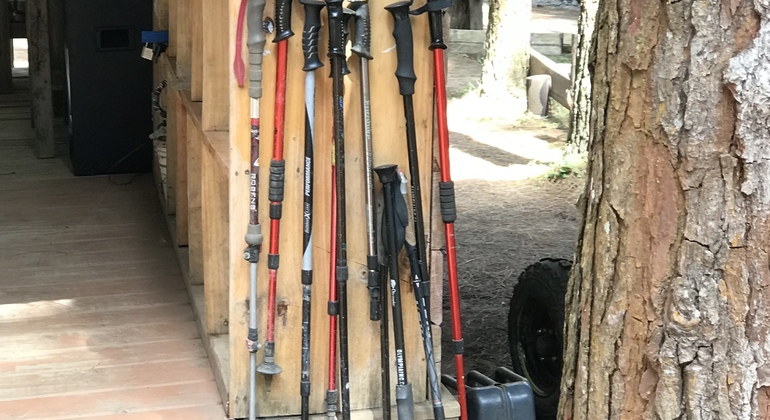 Visita à cidade e à cultura em Arusha Tanzânia — #12