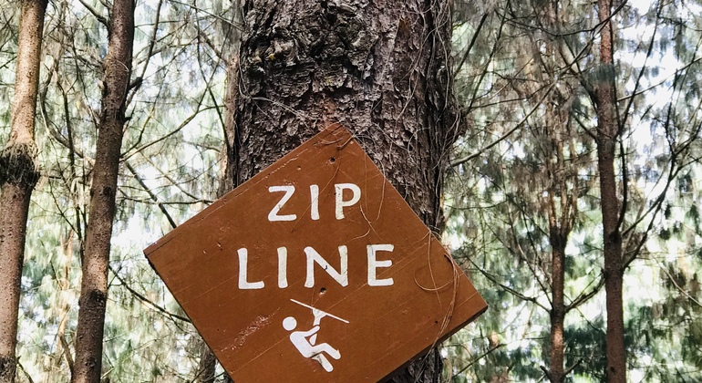 Visita à cidade e à cultura em Arusha Tanzânia — #13