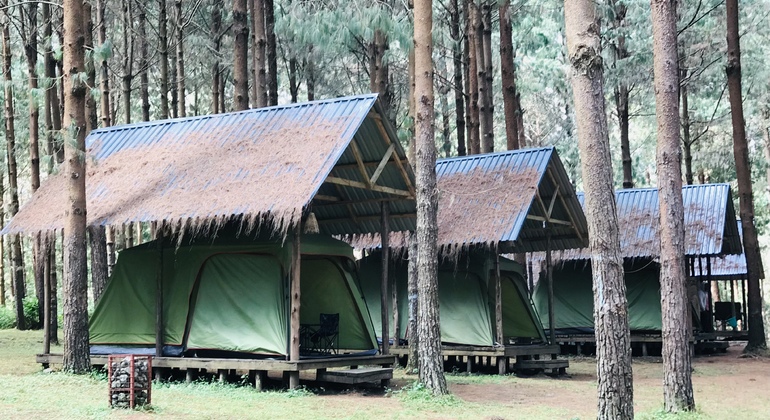 Visita à cidade e à cultura em Arusha Tanzânia — #14