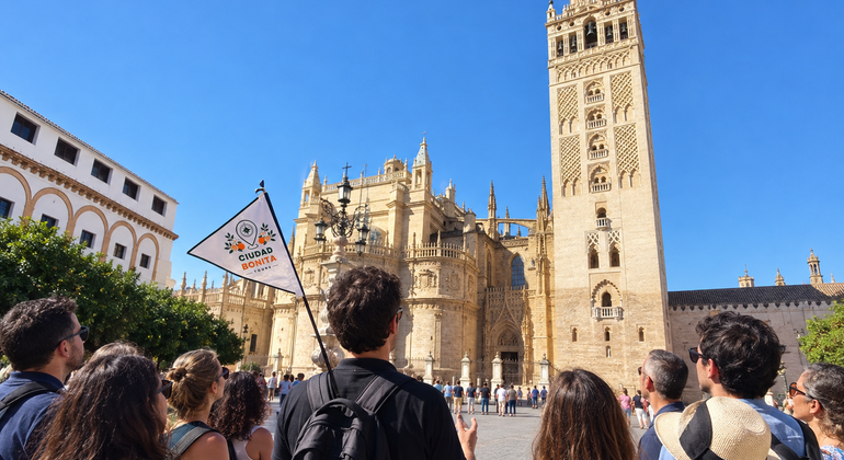Free Tour Sevilla Premium: Entdecken Sie die Stadt in kleinen Gruppen