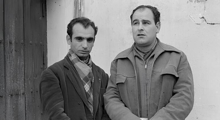 sevilla-true-crime-tour-es-3