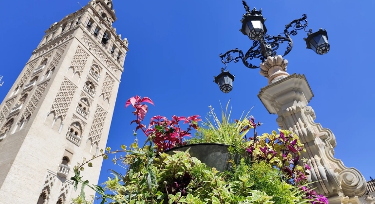 Free Tour Sevilla Monumental Premium en grupos reducidos España &mdash; #18