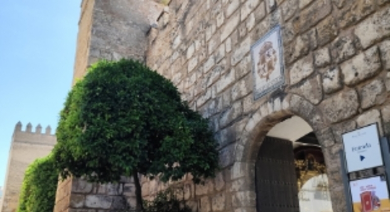 Free Tour Sevilla Monumental Premium en grupos reducidos España &mdash; #27