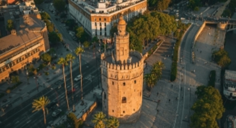 Free Tour Sevilla Monumental Premium en grupos reducidos España &mdash; #28