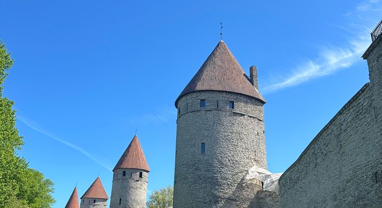La magia nascosta di Tallinn: Tour gratuito Estonia — #8