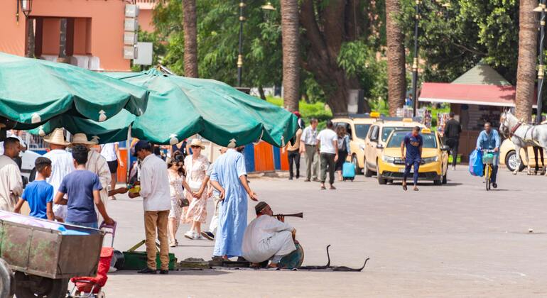 secrets-of-marrakech-with-a-local-official-guide-es-6